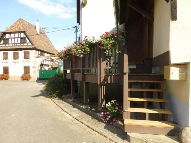 Gite, Maison Independante "Chez Yvette Et Andre" 2 A 6 Pers, Ribeauville A 3 Km, Colmar A 10 Km Guémar Exterior foto