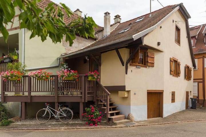 Gite, Maison Independante "Chez Yvette Et Andre" 2 A 6 Pers, Ribeauville A 3 Km, Colmar A 10 Km Guémar Exterior foto