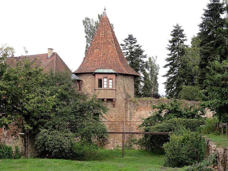 Gite, Maison Independante "Chez Yvette Et Andre" 2 A 6 Pers, Ribeauville A 3 Km, Colmar A 10 Km Guémar Exterior foto