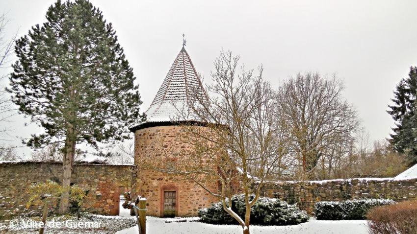 Gite, Maison Independante "Chez Yvette Et Andre" 2 A 6 Pers, Ribeauville A 3 Km, Colmar A 10 Km Guémar Exterior foto