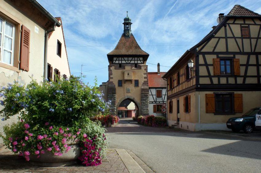 Gite, Maison Independante "Chez Yvette Et Andre" 2 A 6 Pers, Ribeauville A 3 Km, Colmar A 10 Km Guémar Exterior foto