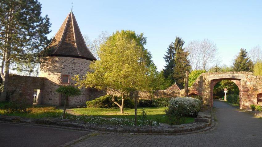 Gite, Maison Independante "Chez Yvette Et Andre" 2 A 6 Pers, Ribeauville A 3 Km, Colmar A 10 Km Guémar Exterior foto